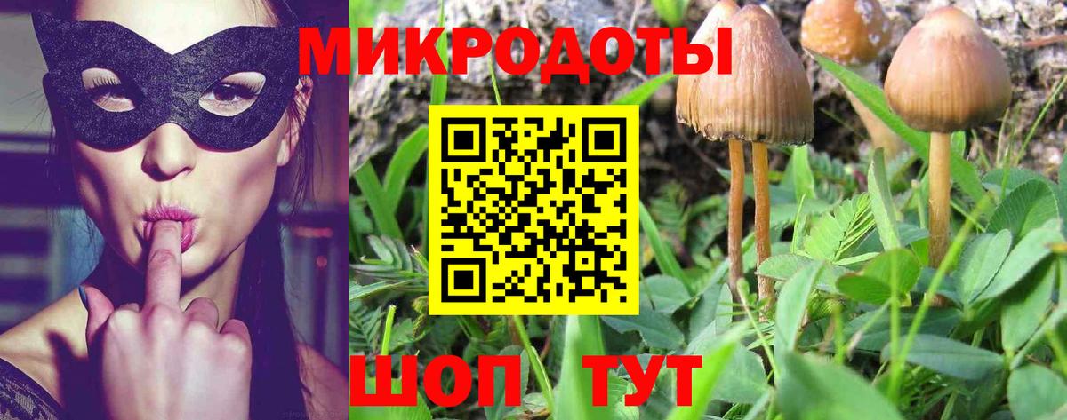 Галлюциногенные грибы мицелий Барнаул